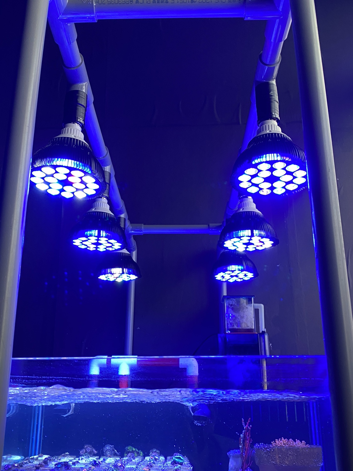 Aquarium Plant Growth - Full specturm LED Aquarium Reef Light