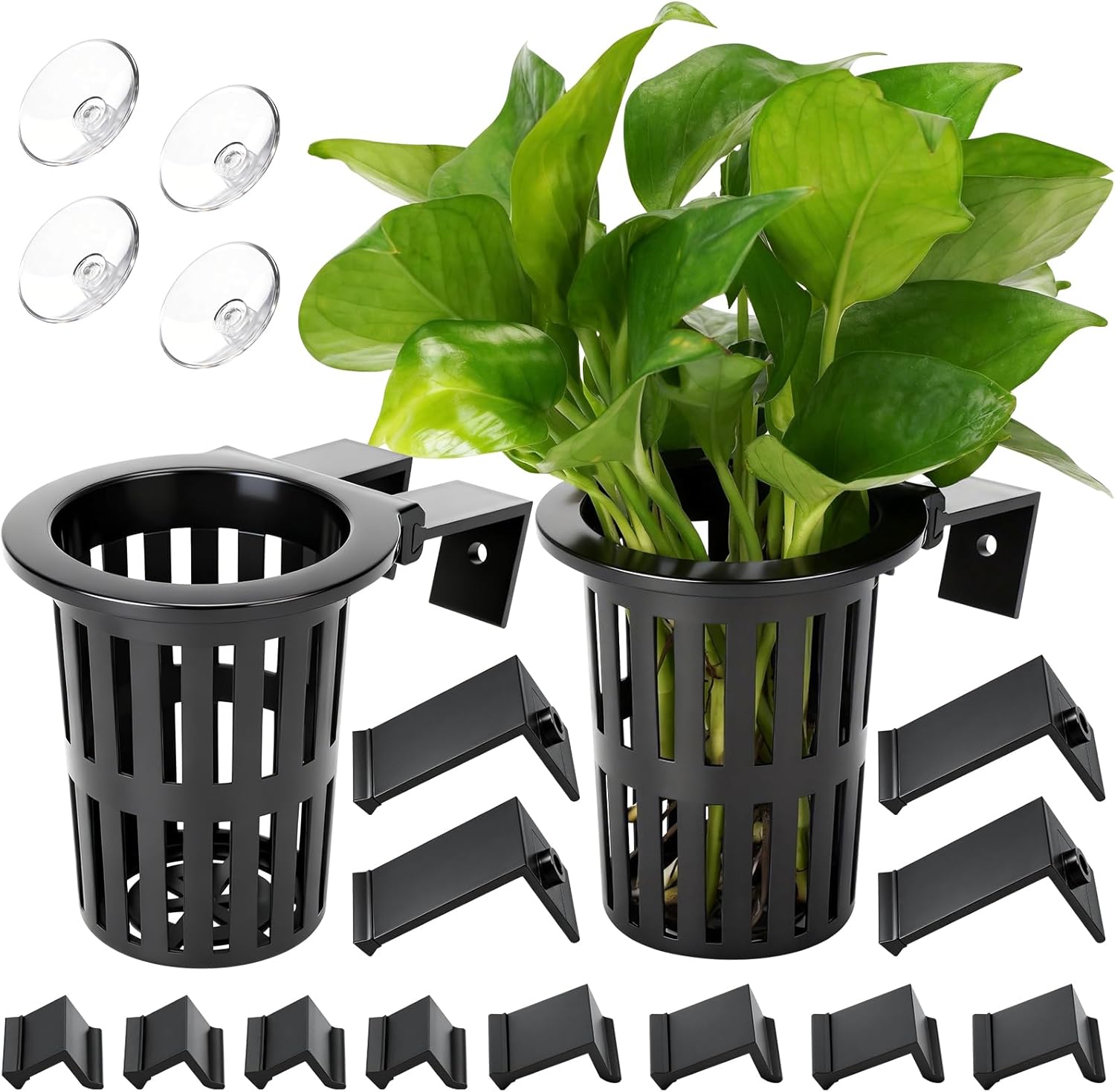 Aquarium Planted Plants - 2025 Upgraded Large Aquarium Plant Holder