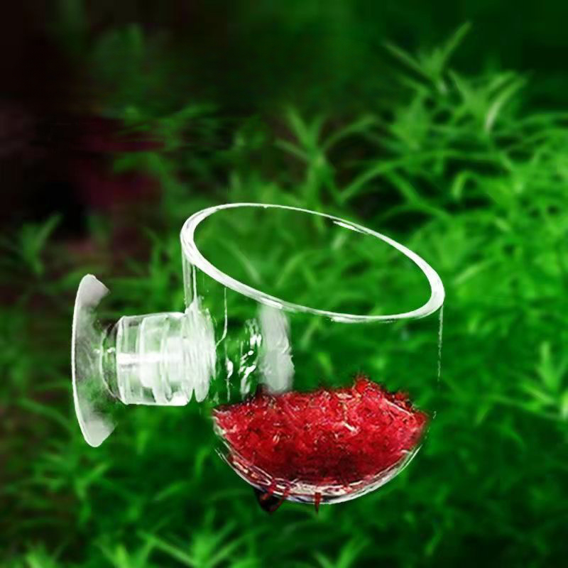 Planted Aquarium Accessories - Acrylic Aquatic Plant Cup With Suction
