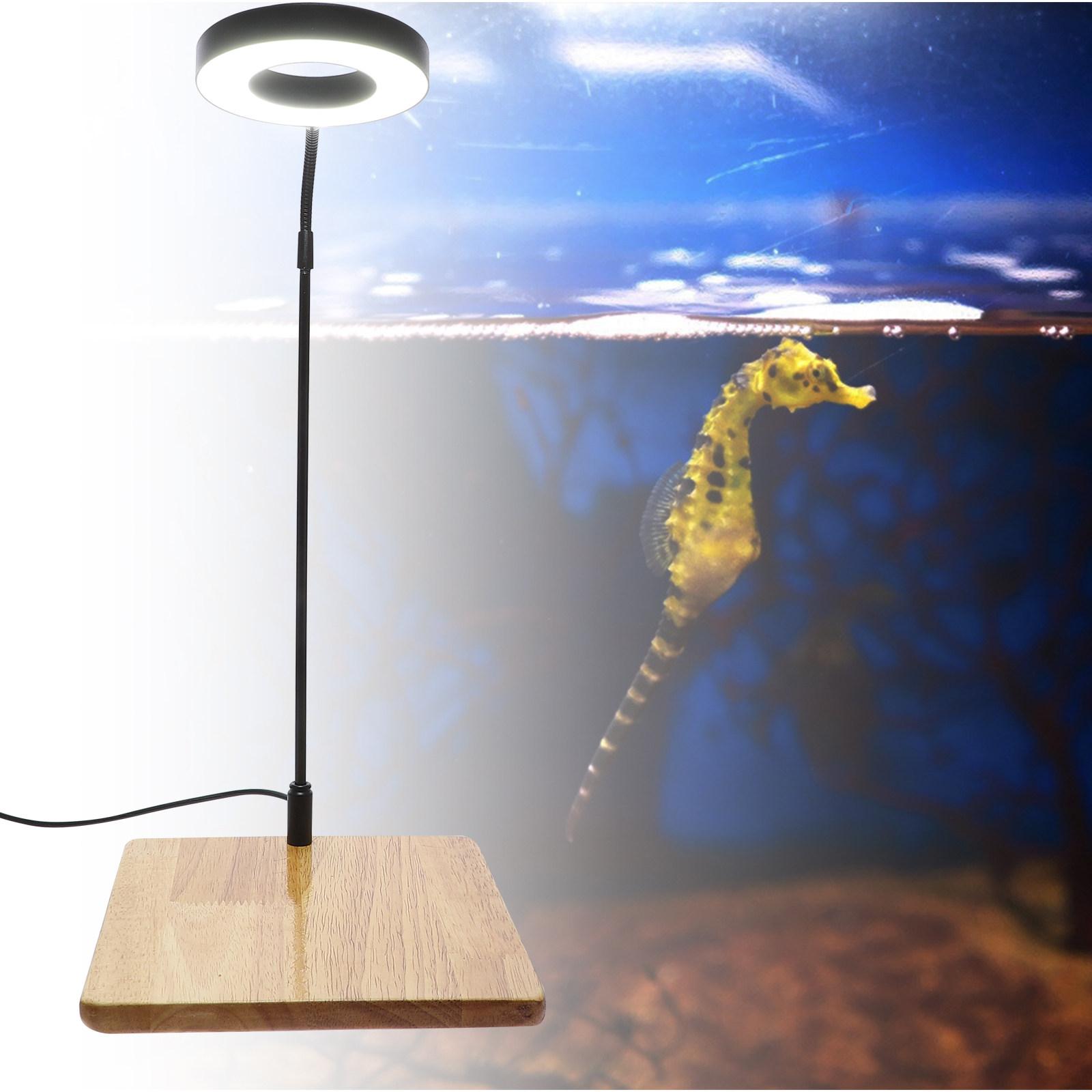 Aquarium Planted Plants - 1Pcs Aquarium Fill Light High Brightness