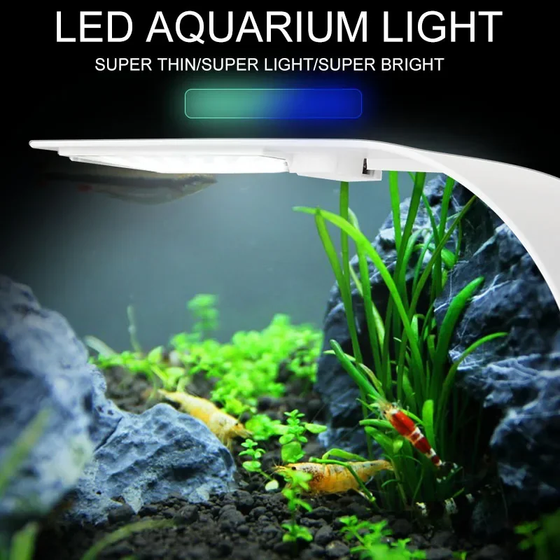 Planted Aquarium Pictures - Super Slim LED Aquarium Light Lighting
