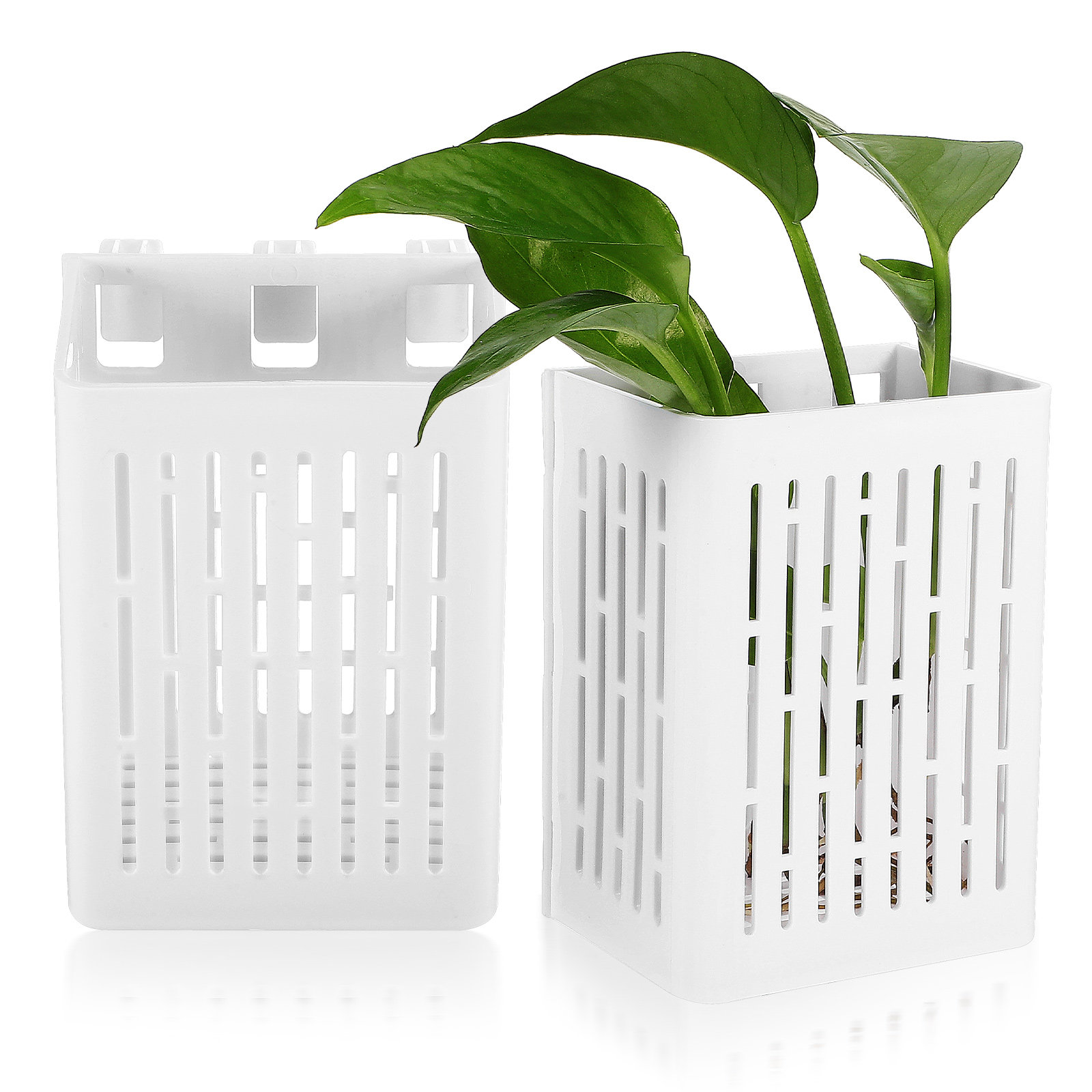 Aquarium Planted Plants - 2pcs Aquarium Plant Baskets Planter Cup