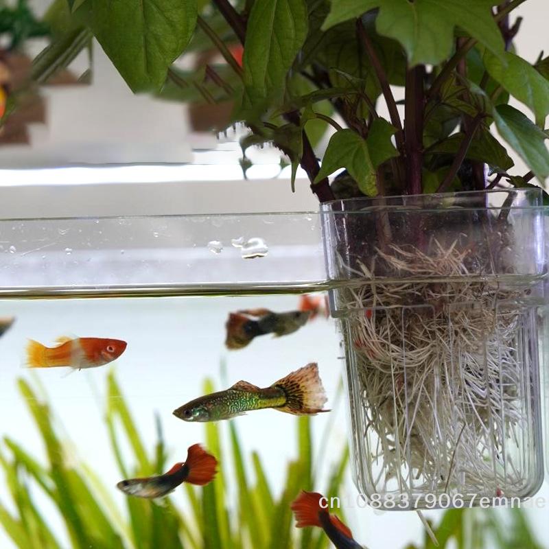 Wall-Mounted Transparent Hydro - Aquarium Planted Tank Setup recension och pris