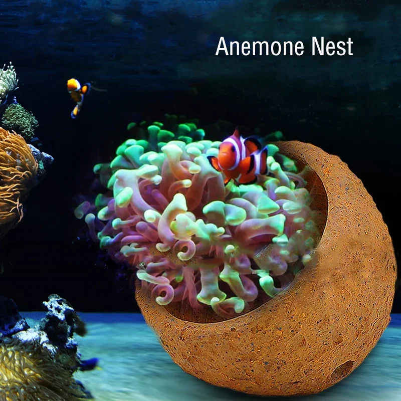 Anemone Nest Prevent Running A - Aquarium Planted Soil recension och pris