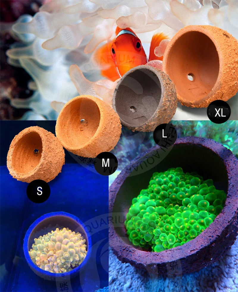 Anemone Nest Prevent Running A - Aquarium Planted Soil recension och pris