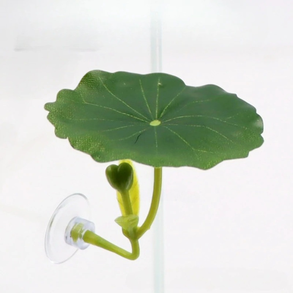 Lotus leaf Betta Fish Hammock  - Planted Aquarium Aquascape recension och pris