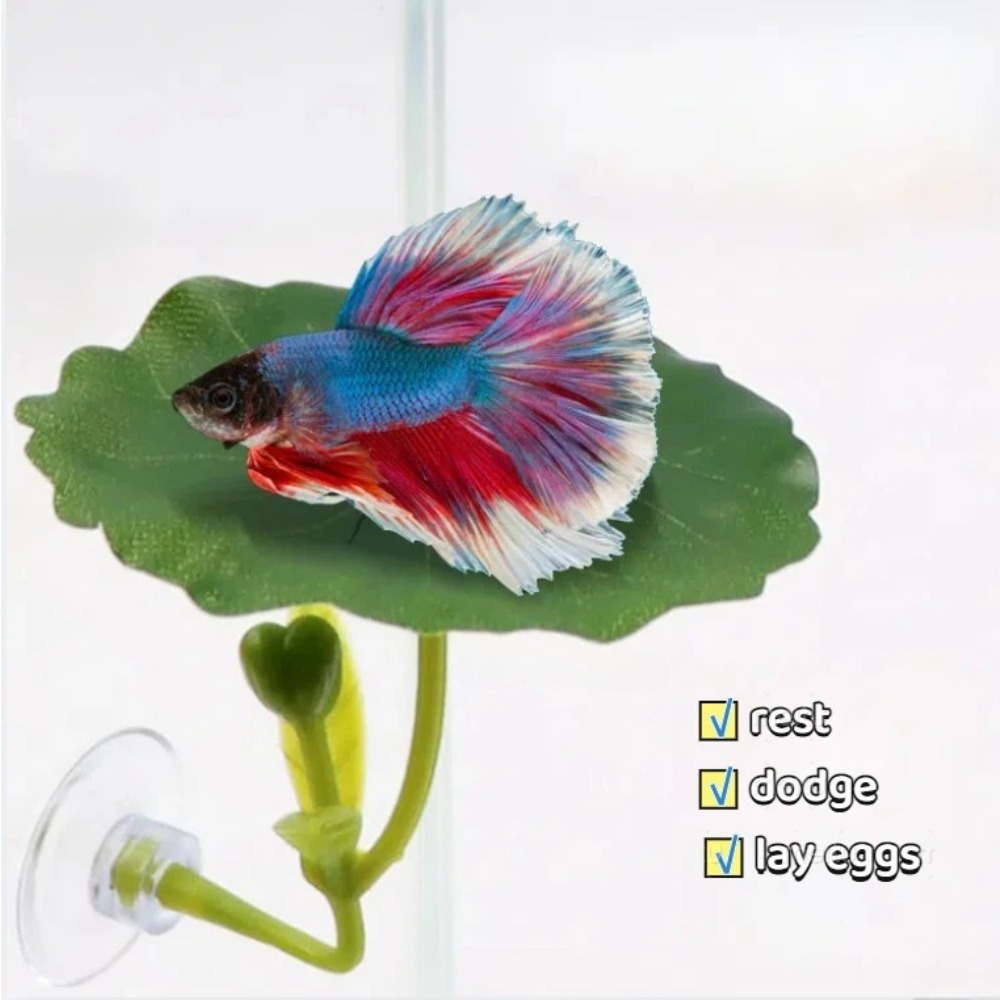 Lotus leaf Betta Fish Hammock  - Planted Aquarium Aquascape recension och pris