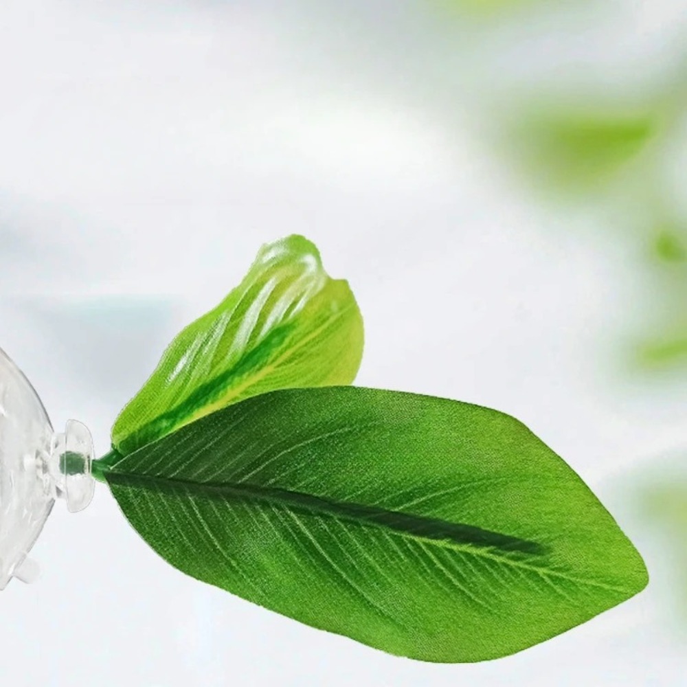 Lotus leaf Betta Fish Hammock  - Planted Aquarium Aquascape recension och pris