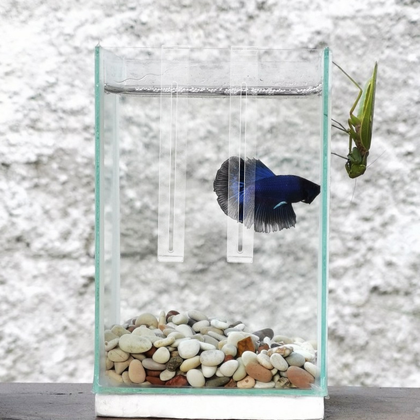 2Pcs Lightweight Sturdy Plasti - Aquarium Planted Tank Setup recension och pris
