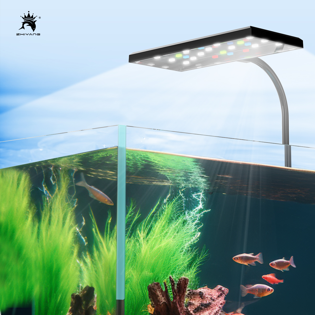 110-240V Aquarium Fish Tank Ba - Aquarium Plant Grass recension och pris