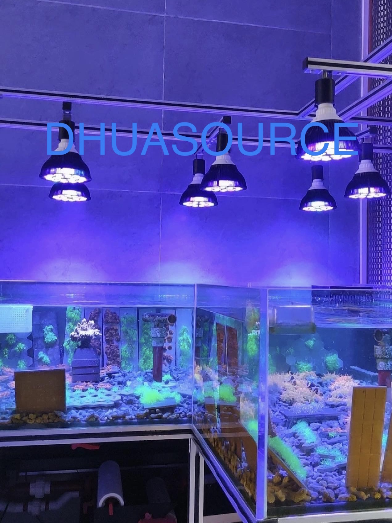 Full specturm LED Aquarium Ree - Aquarium Plant Growth recension och pris