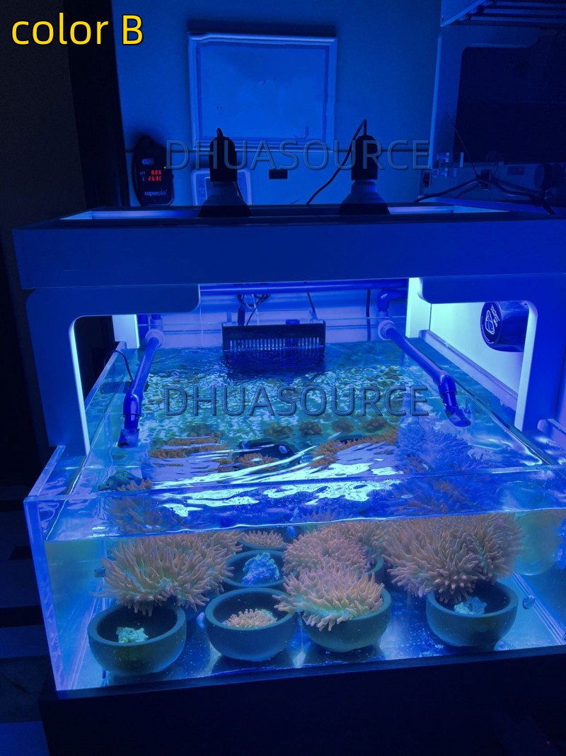 Full specturm LED Aquarium Ree - Aquarium Plant Growth recension och pris
