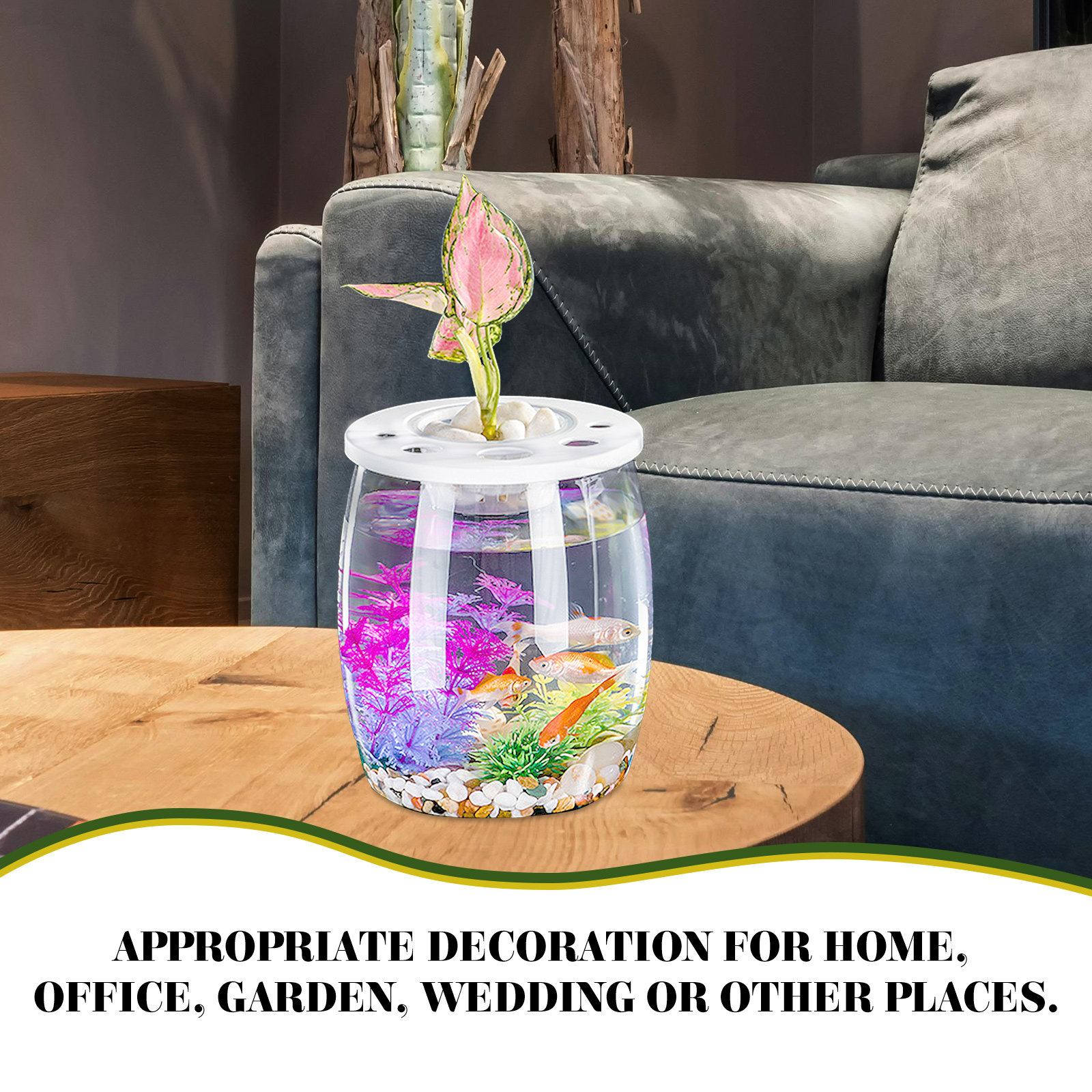 Small Transparent Hydroponic F - Aquarium Planted Tank Setup recension och pris