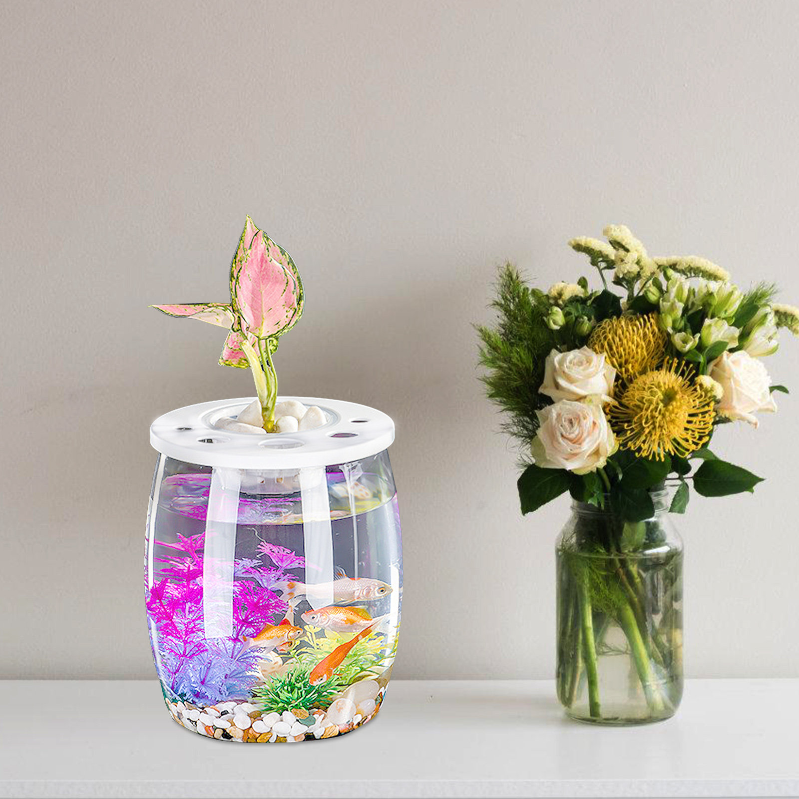Small Transparent Hydroponic F - Aquarium Planted Tank Setup recension och pris
