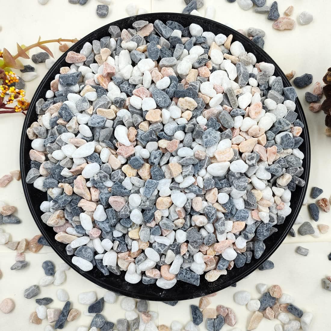2LB Succulent Gravel Pebbles,  - Aquarium Planted Plants recension och pris
