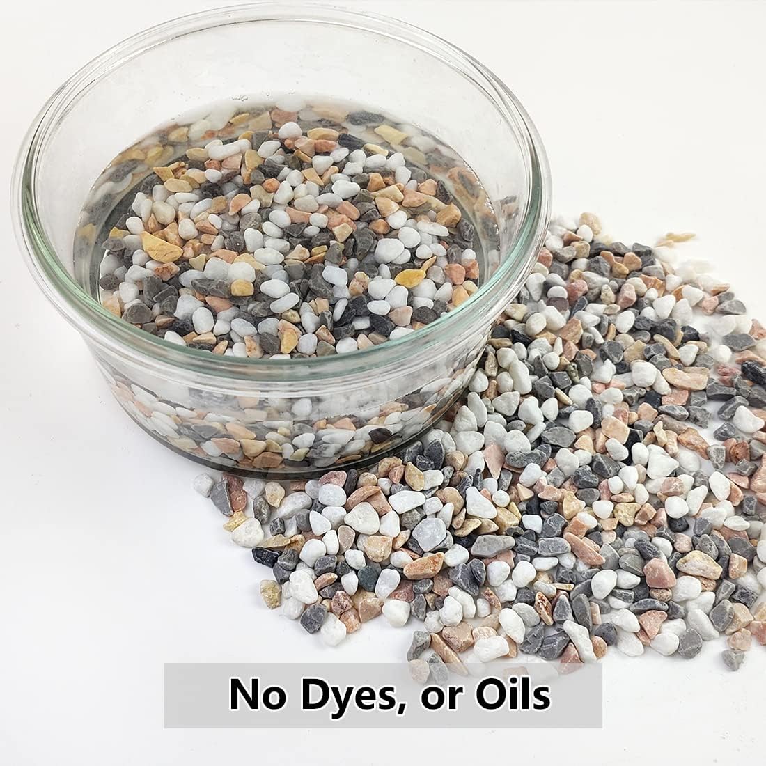 2LB Succulent Gravel Pebbles,  - Aquarium Planted Plants recension och pris