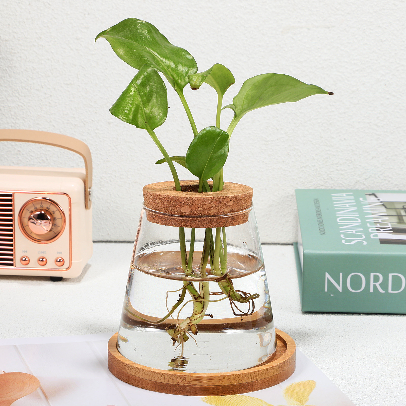 2Pcs Water Planters Glass Prop - Aquarium Planted Plants recension och pris