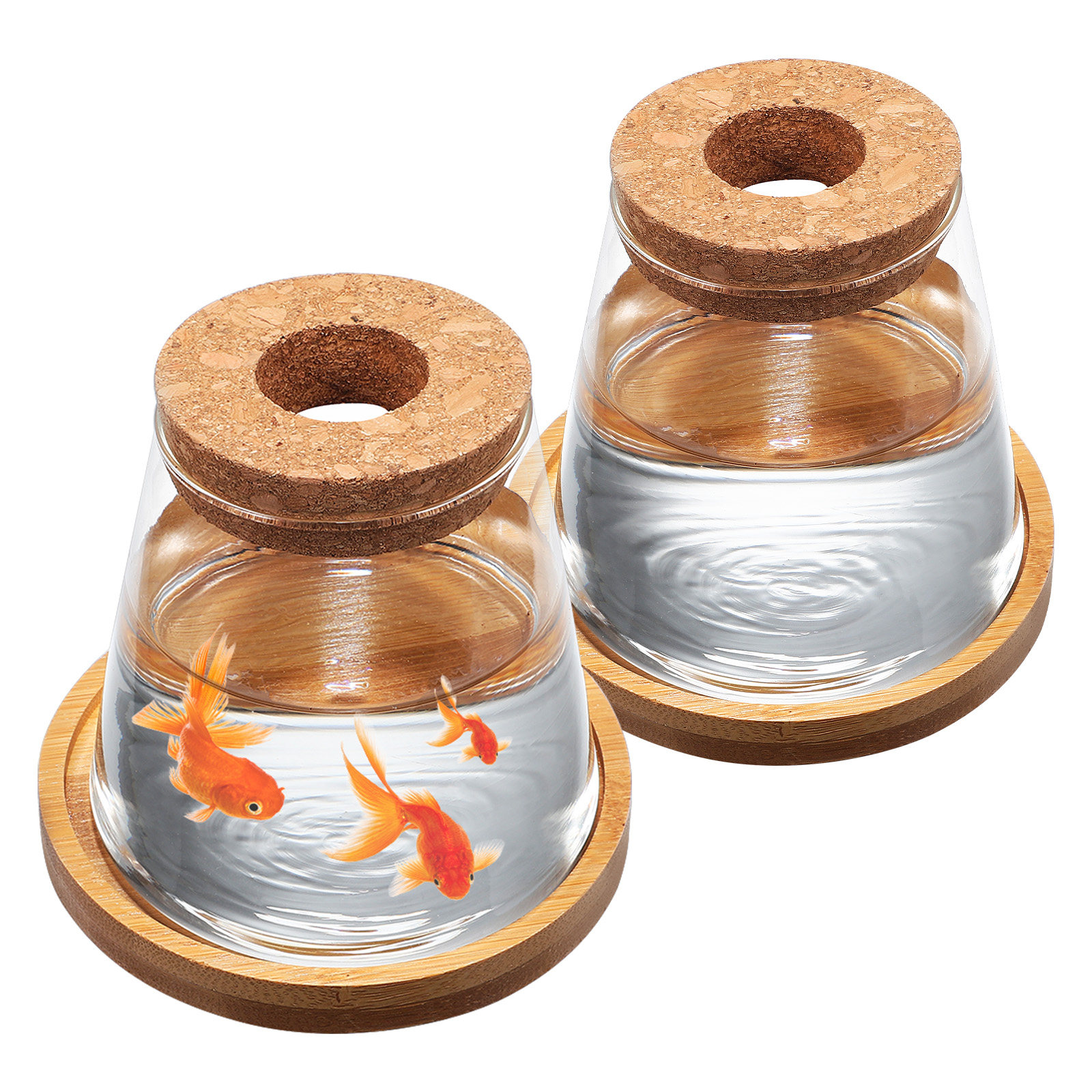 2Pcs Water Planters Glass Prop - Aquarium Planted Plants recension och pris
