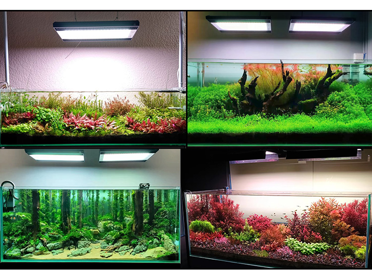 WEEK AQUA A430Pro LED Aquarium - Planted Aquarium Uv Light recension och pris