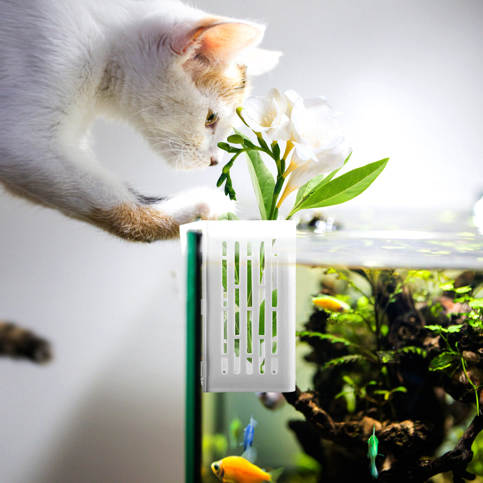 2Pcs Aquatic Plant Holder Hang - Aquarium Planted Tank Setup recension och pris