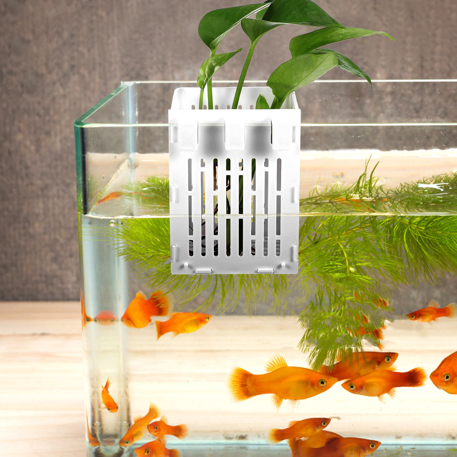2Pcs Aquatic Plant Holder Hang - Aquarium Planted Tank Setup recension och pris