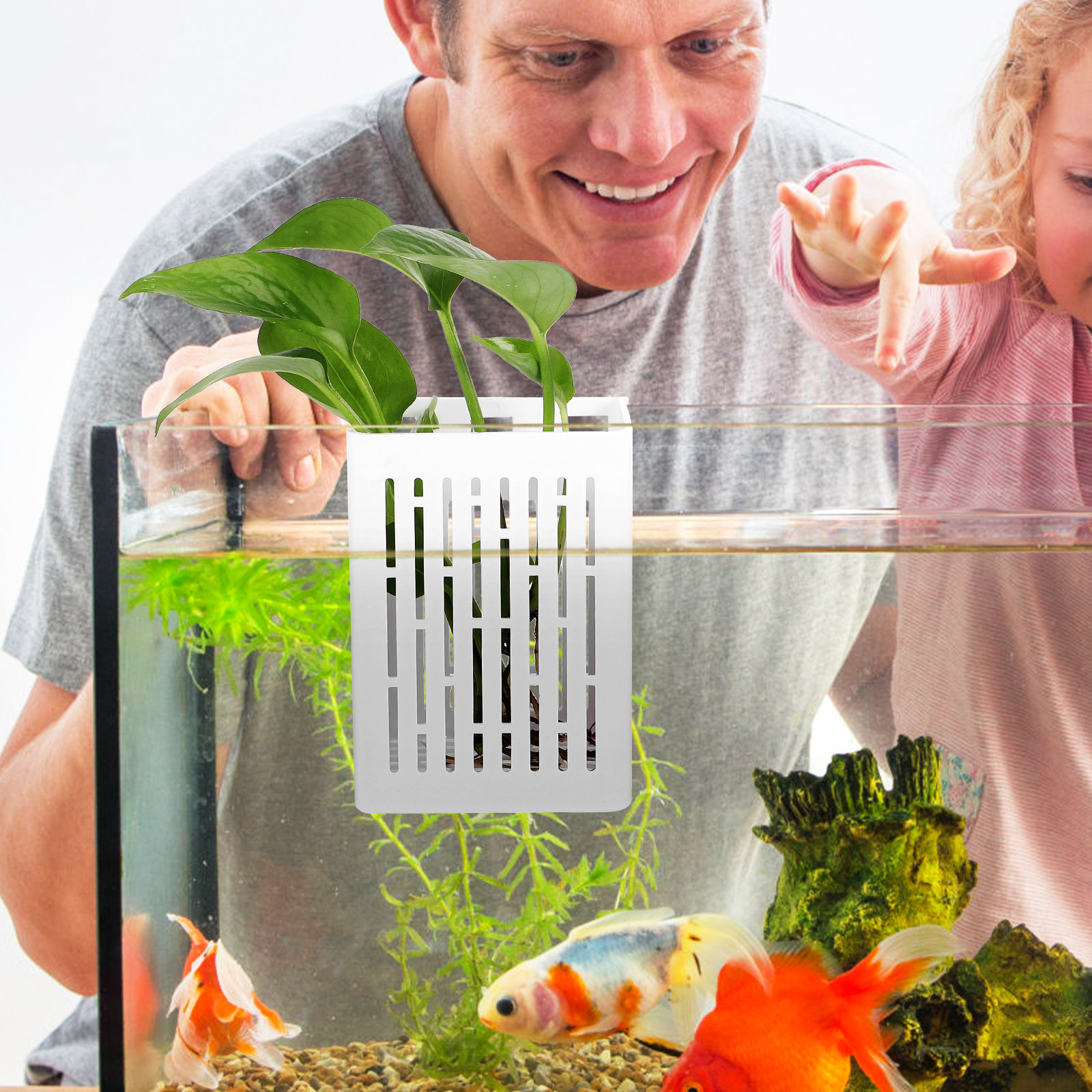 2Pcs Aquatic Plant Holder Hang - Aquarium Planted Tank Setup recension och pris