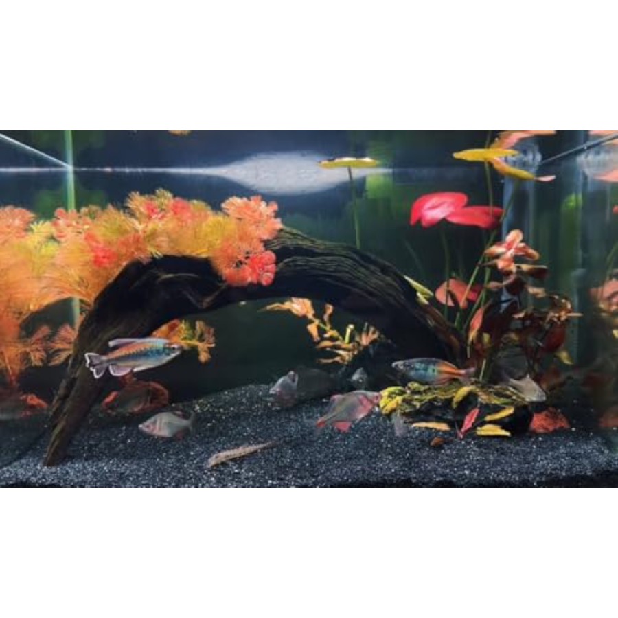 Aquarium Sand, 0 Fish Tank San - Planted Aquarium Aquascape recension och pris