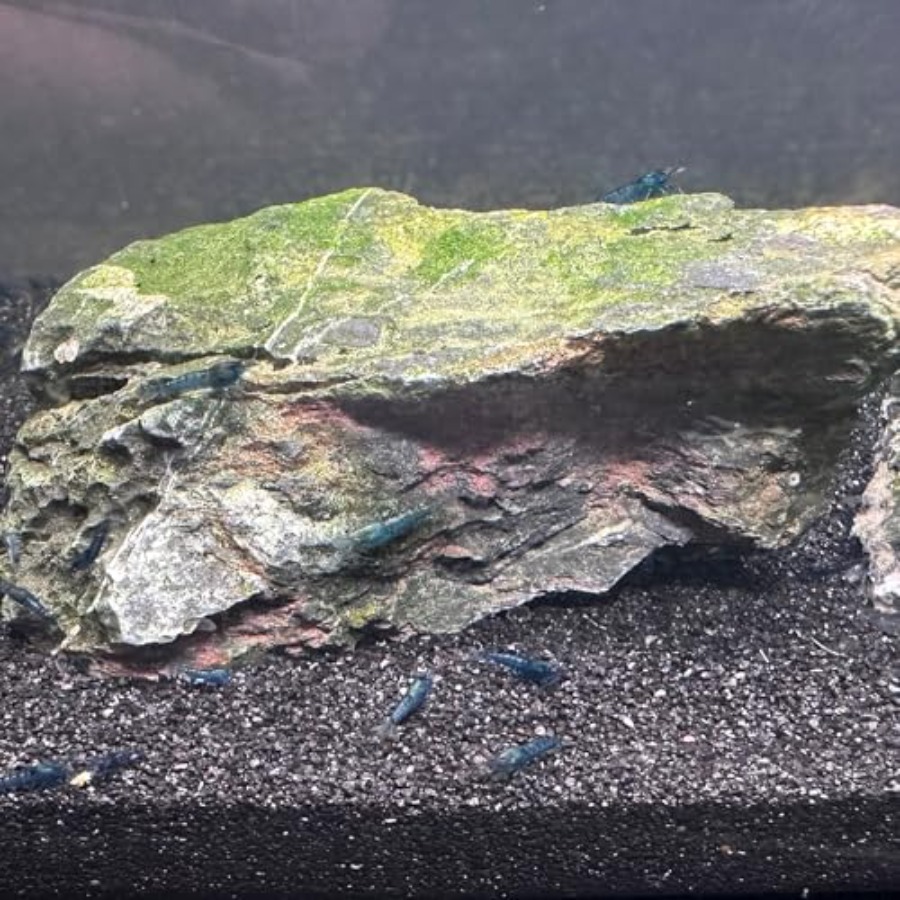 Aquarium Sand, 0 Fish Tank San - Planted Aquarium Aquascape recension och pris