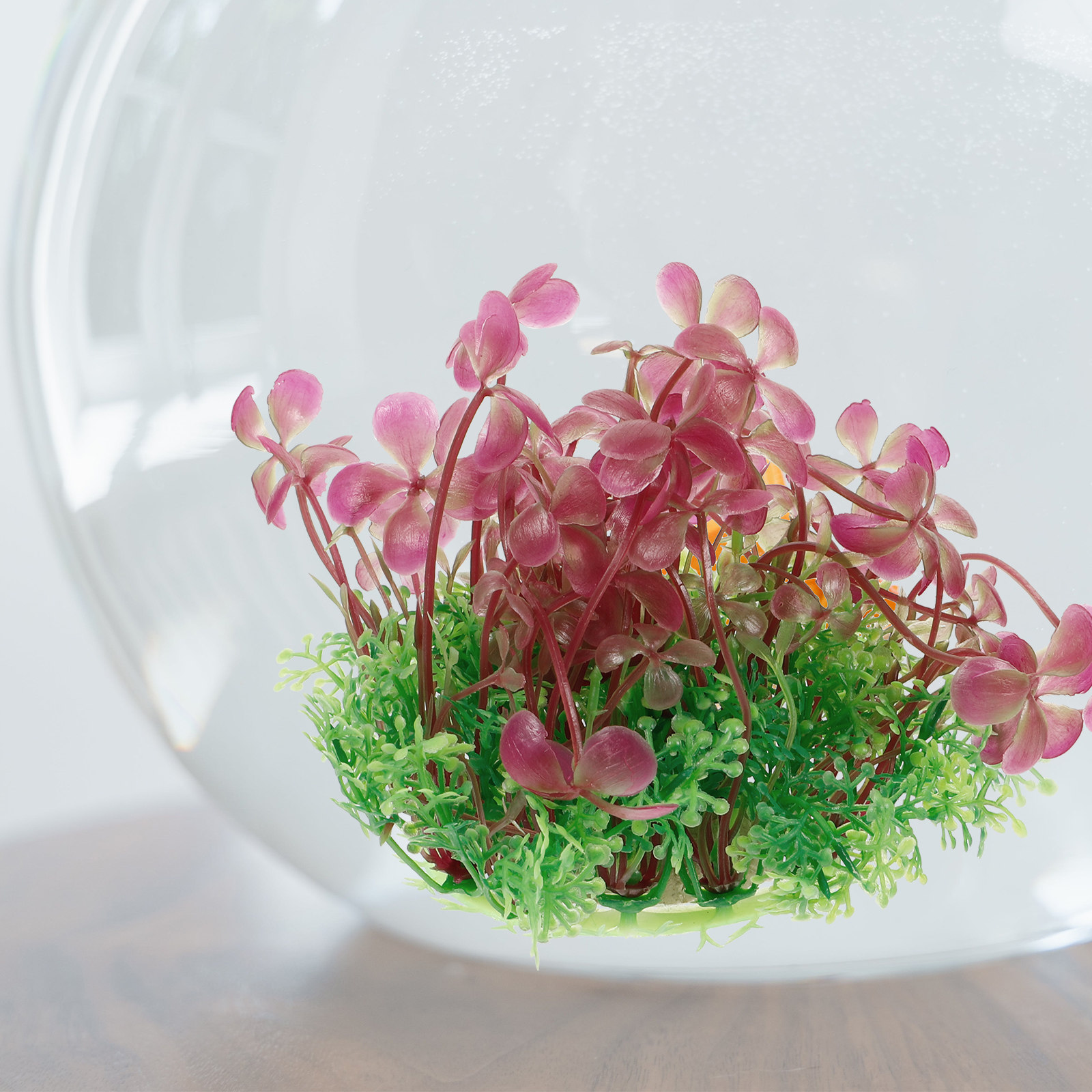 4 Leaf Clover Aquarium Decorat - Aquarium Planted Tank Setup recension och pris
