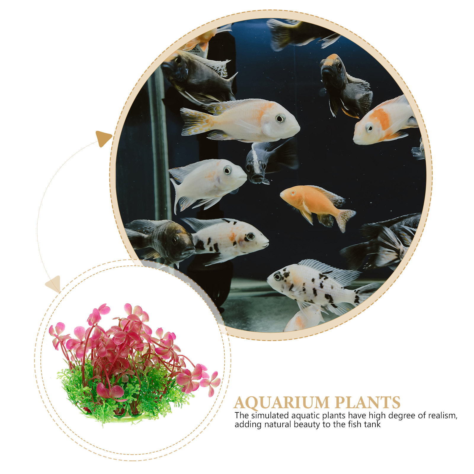 4 Leaf Clover Aquarium Decorat - Aquarium Planted Tank Setup recension och pris