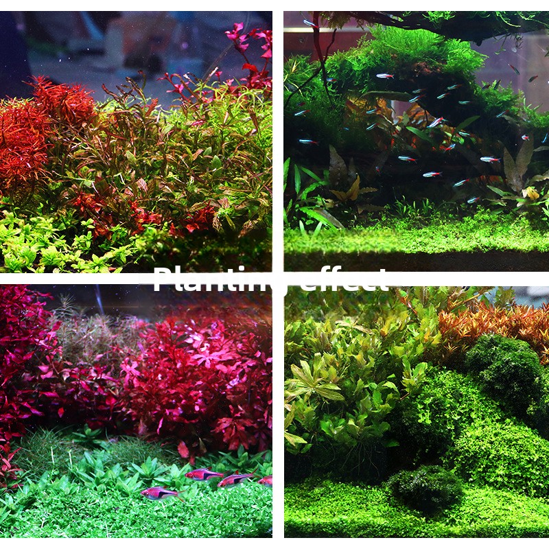 SYSENCIAGA Planted Aquarium Su - Aquarium Planted Soil recension och pris
