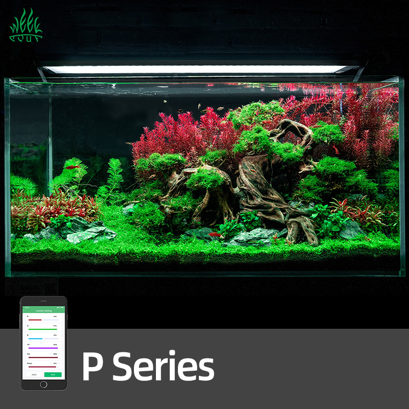 WEEK AQUA Pandora P Series Aqu - Planted Aquarium Uv Light recension och pris
