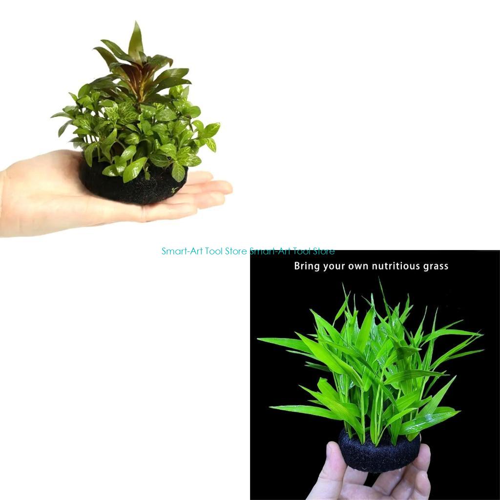 E1PB Nutrient Rich Resin Subst - Aquarium Plant Growth recension och pris