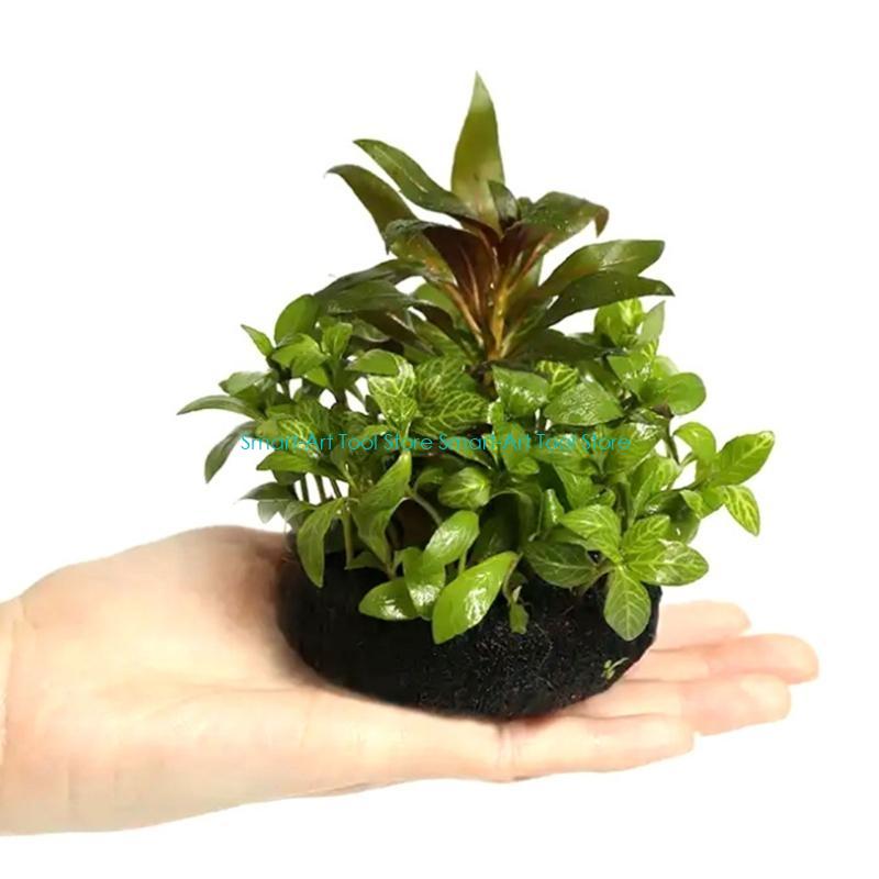 E1PB Nutrient Rich Resin Subst - Aquarium Plant Growth recension och pris