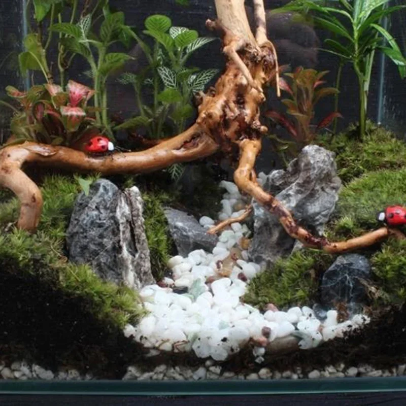 Natural Tree Trunk Driftwood A - Aquarium Planted Soil recension och pris