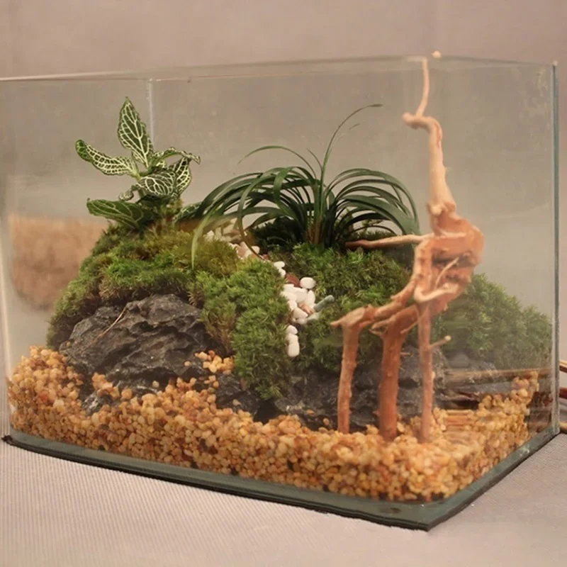 Natural Tree Trunk Driftwood A - Aquarium Planted Soil recension och pris