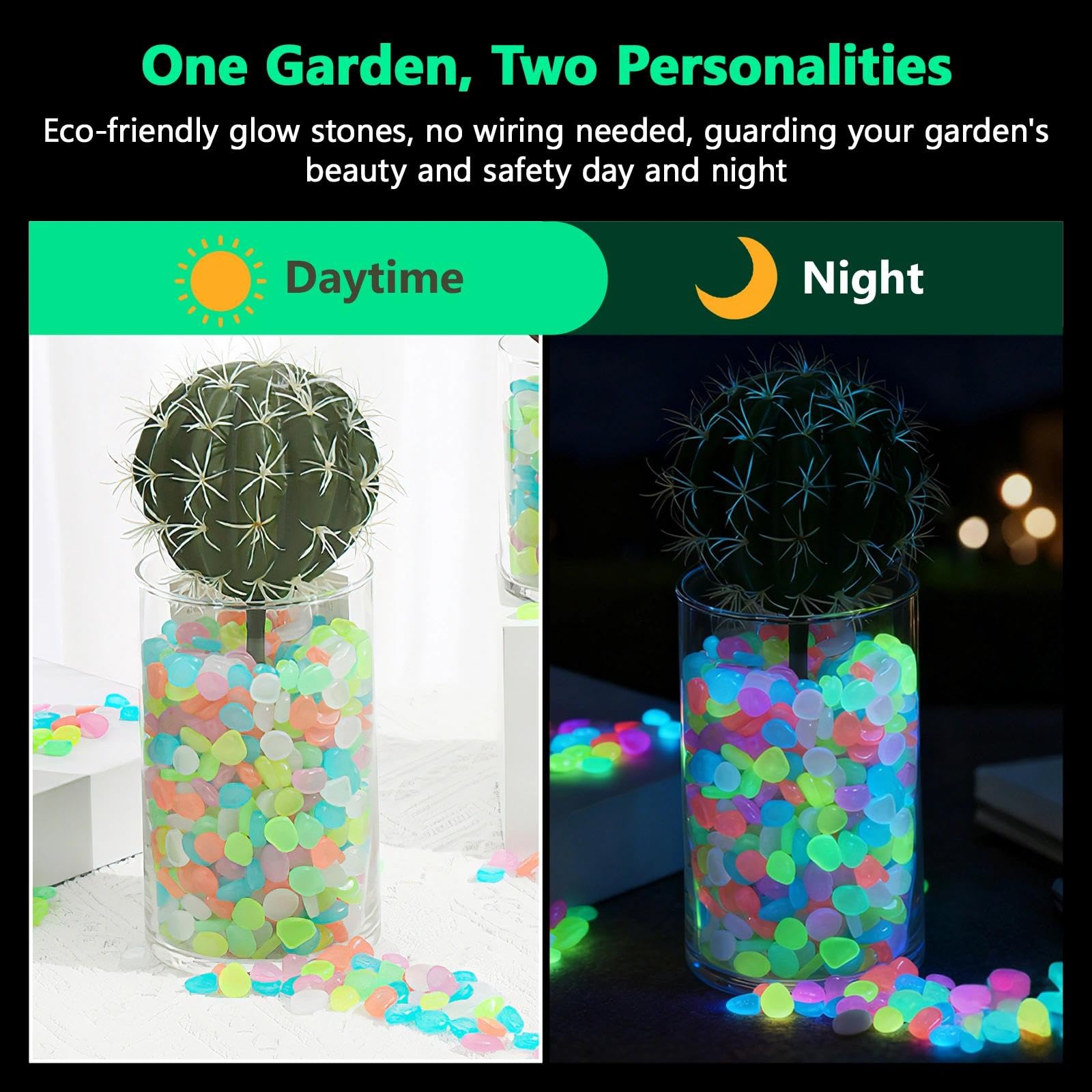 Potted Plants Glow In The Dark - Aquarium Plant Delivery recension och pris