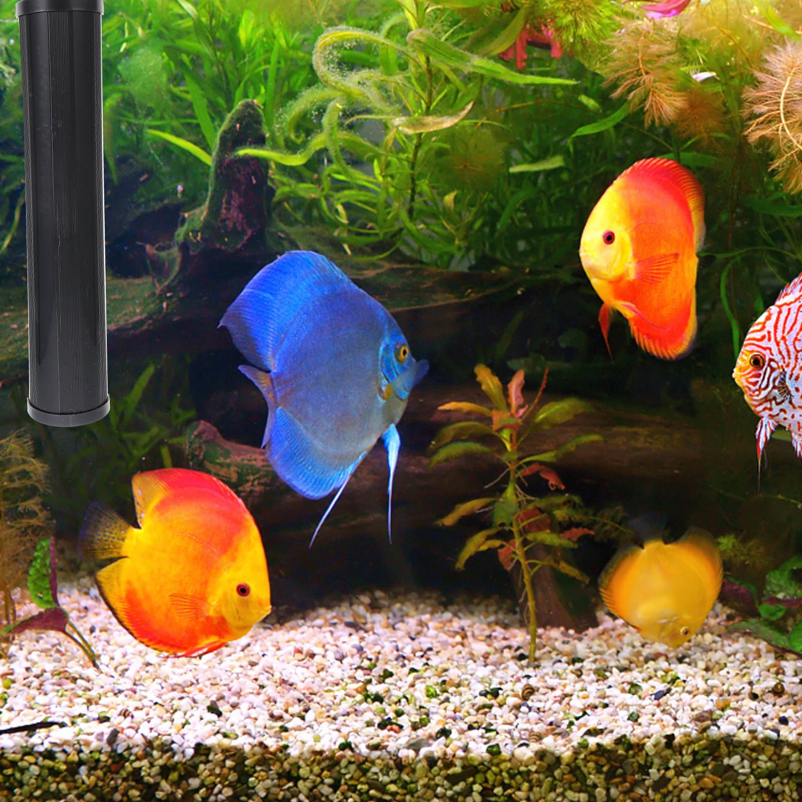 1Pcs Aquarium Uv Compatible Pl - Planted Aquarium Uv Light recension och pris