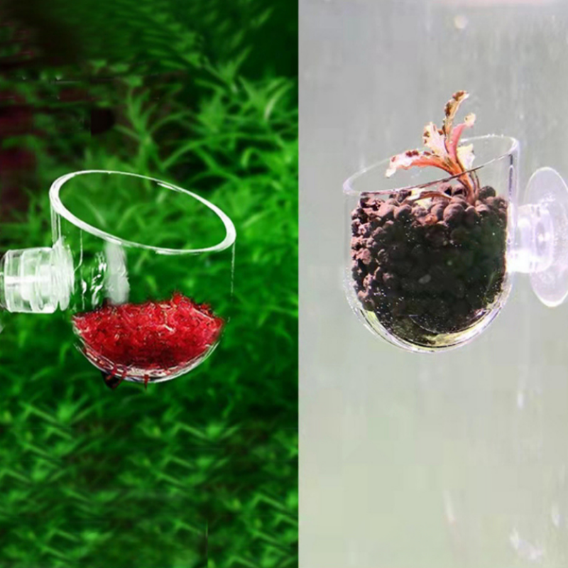 Acrylic Aquatic Plant Cup With - Planted Aquarium Accessories recension och pris
