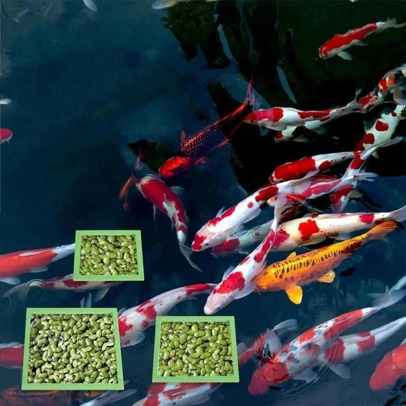 5/10pcs Aquarium Floating Plan - Aquarium Plant Grass recension och pris