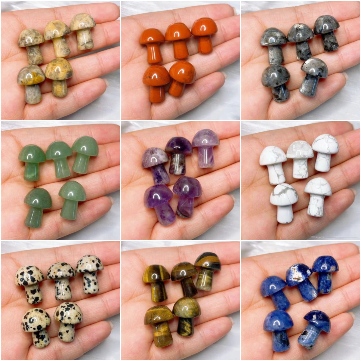 Natural Crystal Mini Mushroom  - Aquarium Plant Delivery recension och pris