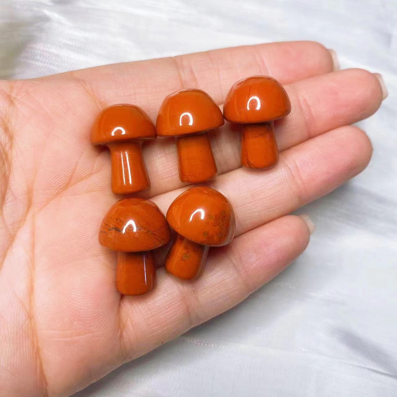 Natural Crystal Mini Mushroom  - Aquarium Plant Delivery recension och pris