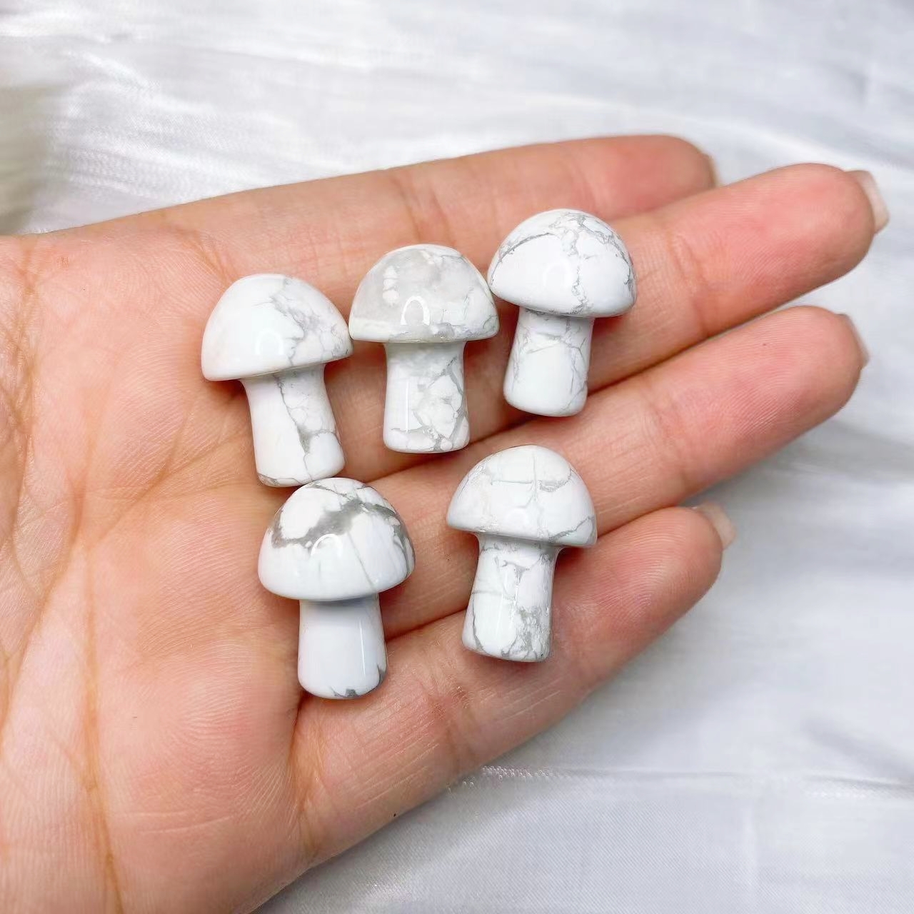 Natural Crystal Mini Mushroom  - Aquarium Plant Delivery recension och pris
