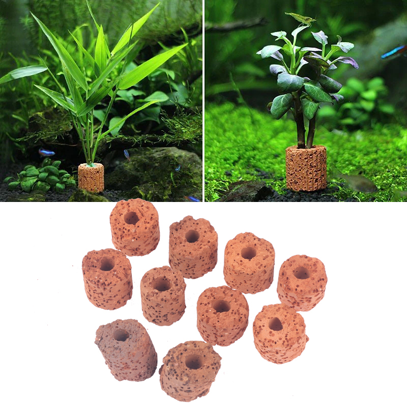 10Pcs Mini Aquatic Plant Ring  - Aquarium Planted Tank Setup recension och pris