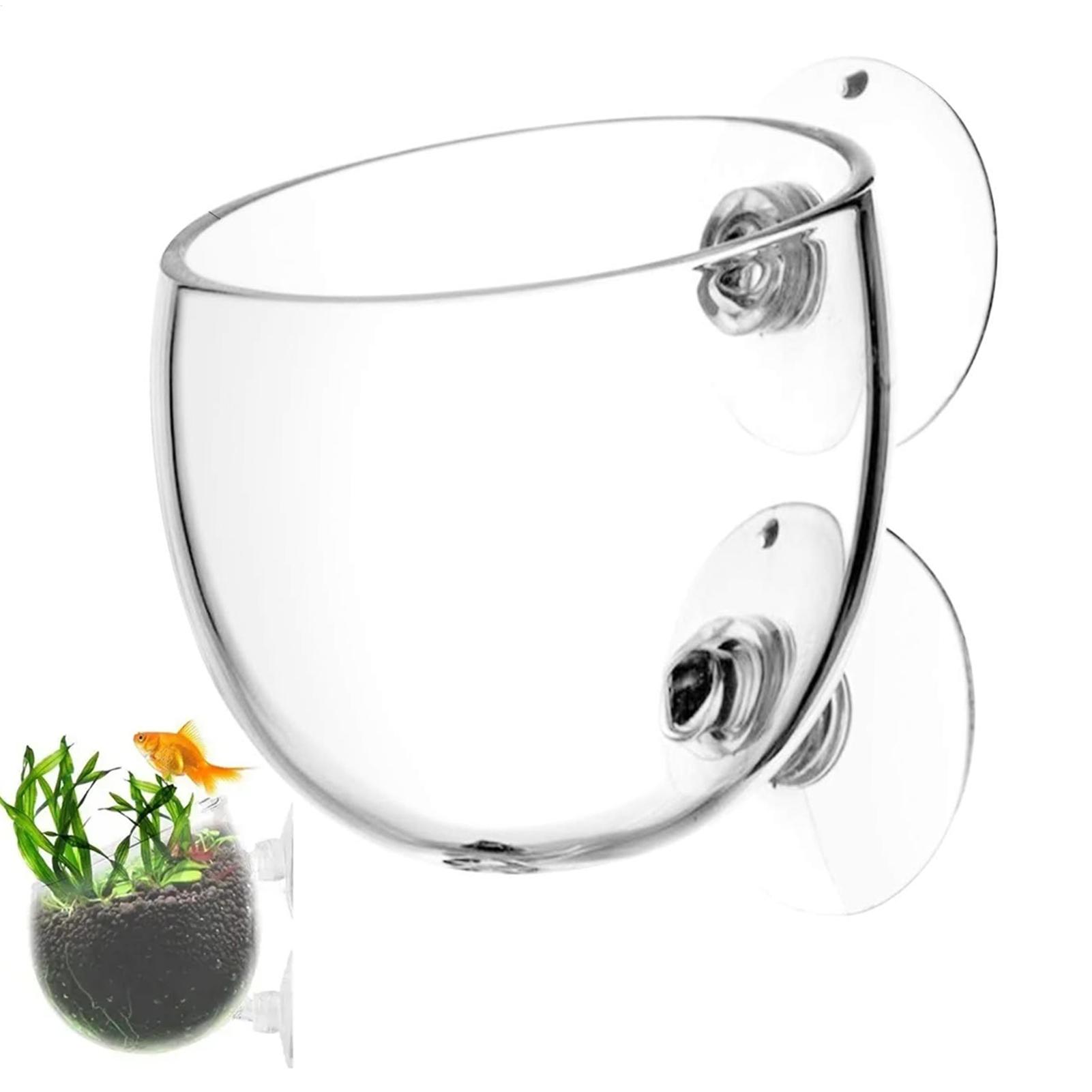 Aquarium Glass Plant Pot with  - Aquarium Plant Vine recension och pris