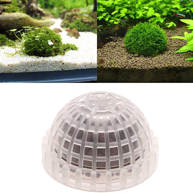 .1Pc Aquatic Pet Supplies Deco - Aquarium Plant Echinodorus recension och pris
