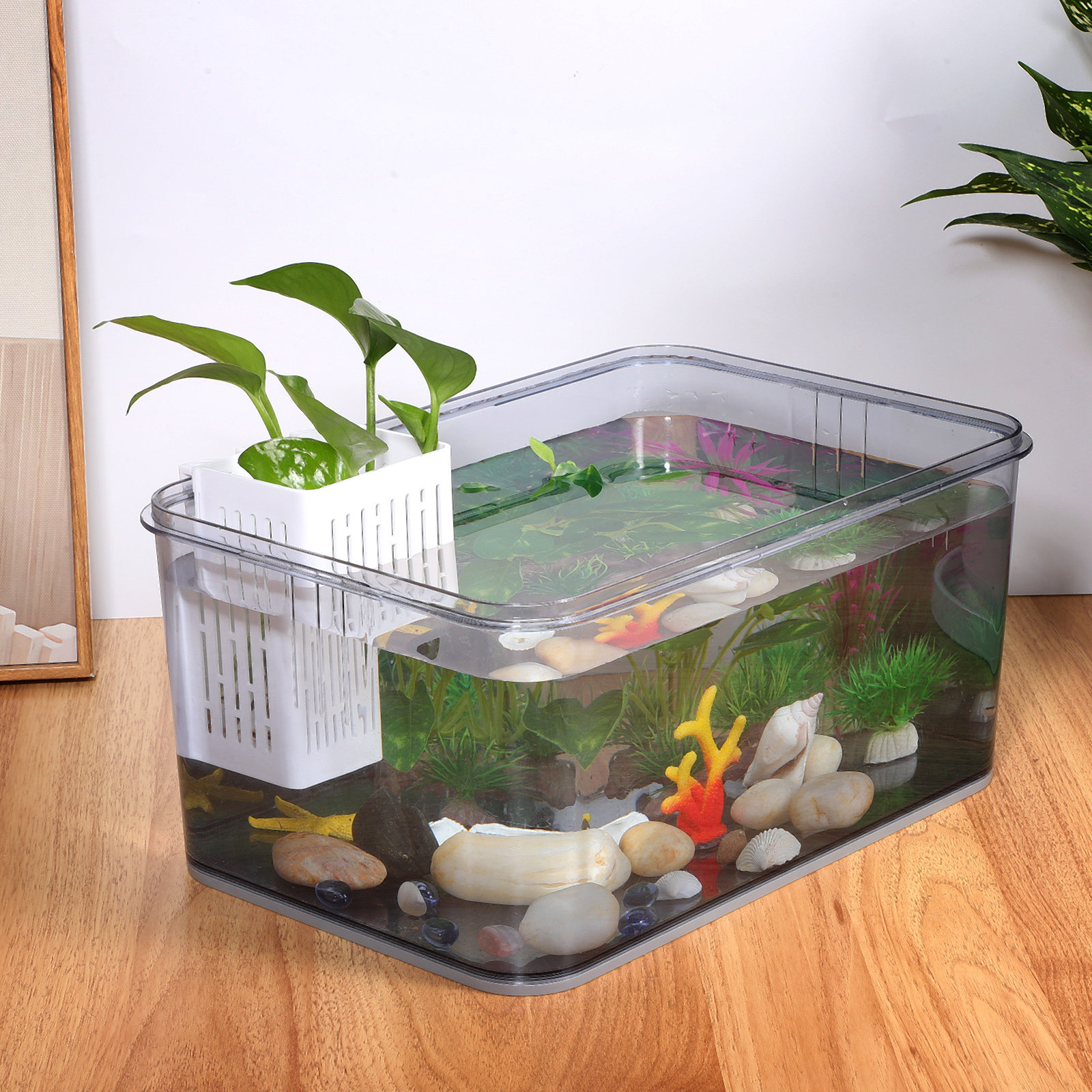 2pcs Aquarium Plant Baskets Pl - Aquarium Planted Plants recension och pris