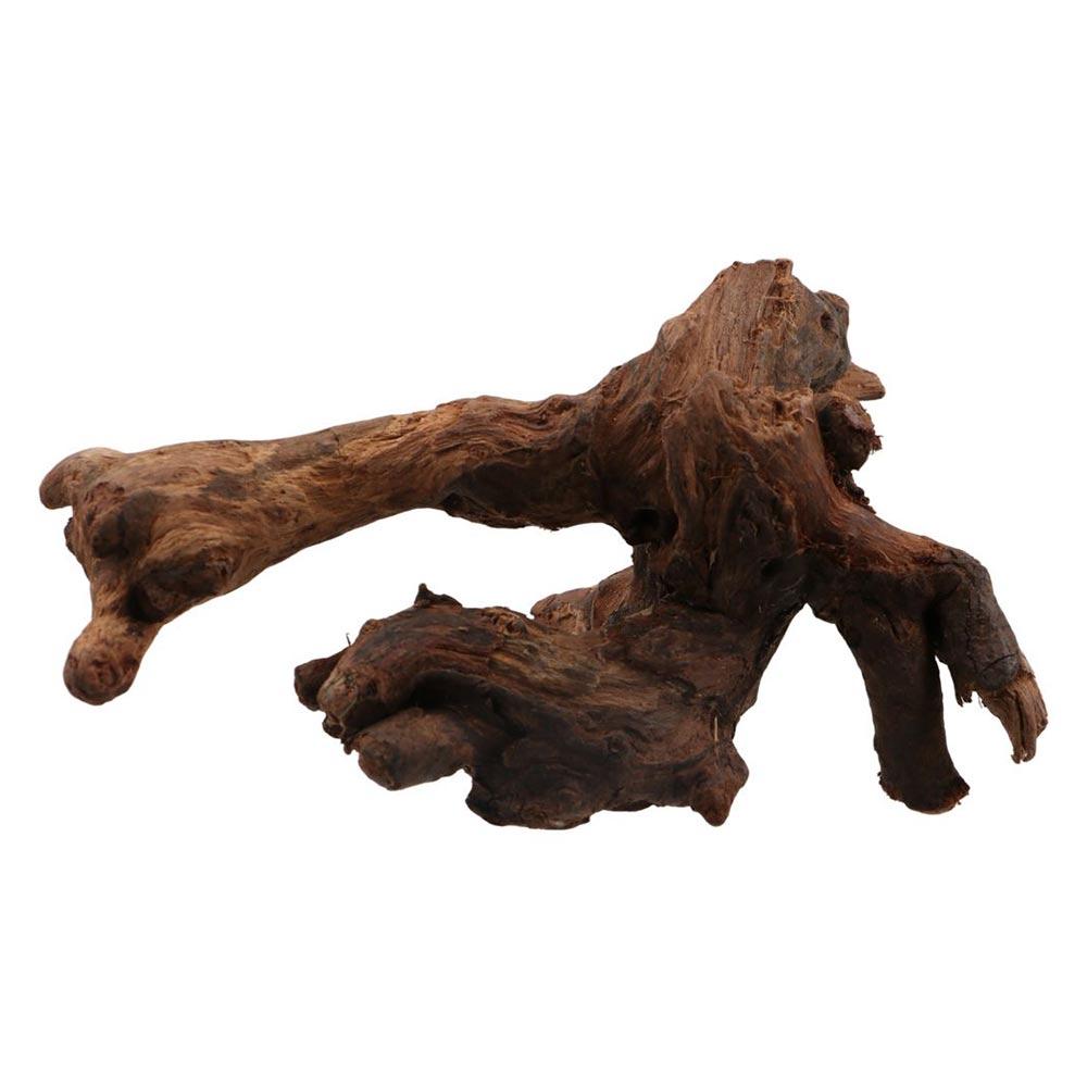 Creative Irregular Shape Coral - Aquarium Planted Soil recension och pris