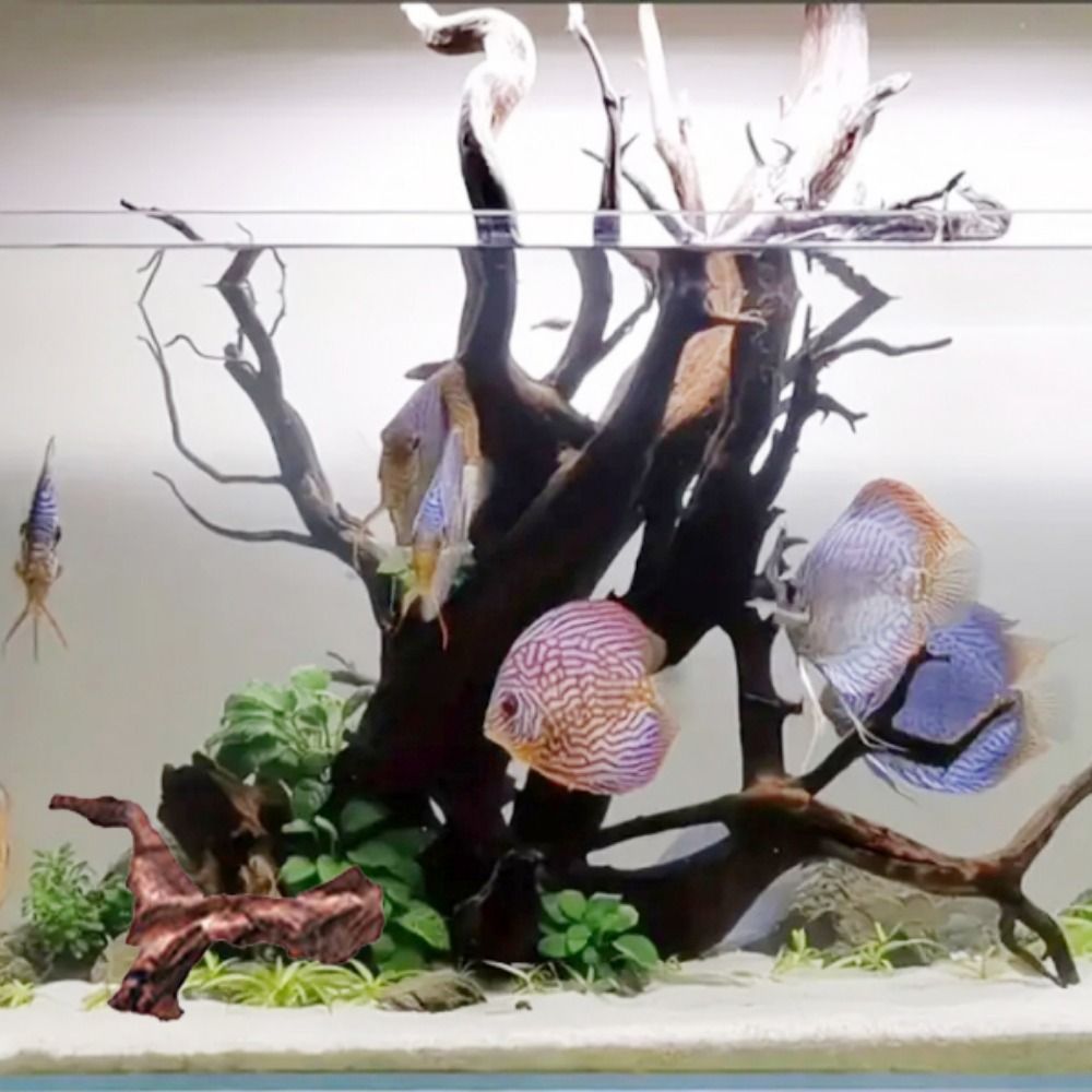 Creative Irregular Shape Coral - Aquarium Planted Soil recension och pris