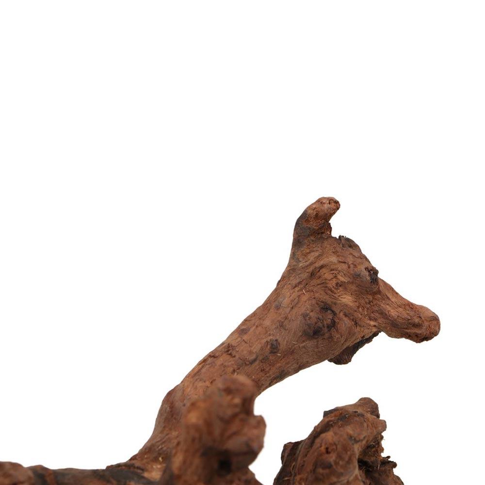 Creative Irregular Shape Coral - Aquarium Planted Soil recension och pris